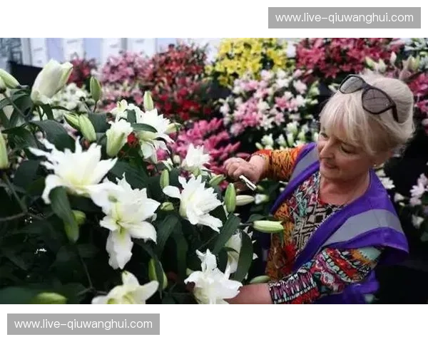 蓝桥杯与玫瑰之吻:切尔西与女王巡游的足球史诗